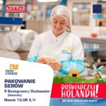 Oferta pracy w Holandii przy produkcji sera w Oudewater od zaraz z językiem angielskim