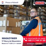 Praca w Holandii na magazynie logistycznym od zaraz bez języka, Tilburg lub Maasvlakte