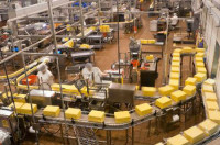 Pakowanie sera dam pracę w Niemczech bez języka od zaraz Dortmund