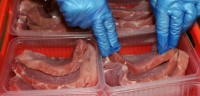 Norwegia praca bez znajomości języka przy pakowaniu mięsa Stavanger