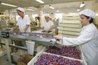 Oferta pracy w Holandii dla kobiet na produkcji pakowanie żywności Groesbeek