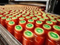 Praca Niemcy od zaraz bez znajomości języka Stuttgart na produkcji koncentratów pomidorowych