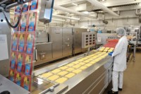 Praca w Holandii na produkcji pakowanie serów bez znajomości języka Almere