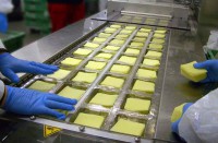 Pakowanie sera od zaraz oferta pracy w Niemczech dla par bez języka Stuttgart