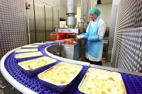Stuttgart oferta pracy w Niemczech od zaraz bez języka na produkcji lasagne
