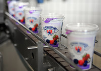 Produkcja jogurtów od zaraz Holandia praca w Kerkrade