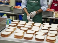Losser dam pracę w Holandii na produkcji kanapek od zaraz bez języka