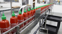 Od zaraz oferta pracy w Holandii 2017 na produkcji sosów w fabryce Udenhout