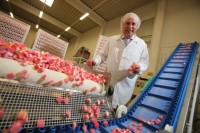 Praca Holandia bez znajomości języka produkcja słodyczy od zaraz 2017 Roosendaal