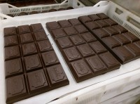 Oferta pracy w Holandii od zaraz pakowanie czekolady bez języka Zwolle