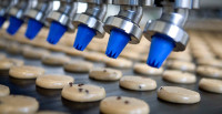 Ogłoszenie pracy w Holandii bez języka na produkcji ciastek od zaraz 2017 Gennep