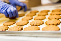 Oferta pracy w Holandii bez języka pakowanie ciastek 2018 od zaraz Harderwijk