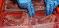 Od zaraz praca Holandia pakowanie mięsa bez znajomości języka Nijkerk 2018