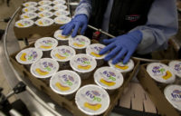 Oferta pracy w Holandii od zaraz produkcja jogurtów typu greckiego z językiem angielskim