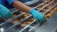 Holandia praca od zaraz przy pakowaniu mięsa bez znajomości języka Haga bądź Oss