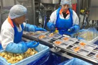 Oferta pracy w Holandii od zaraz dla par na produkcji żywności, Haga i Oss