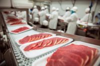 Niemcy praca od zaraz na produkcji mięsnej dla rzeźników w Mölln