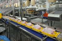Holandia praca dla par przy pakowaniu mięsa od zaraz bez języka w Oss lub Hadze