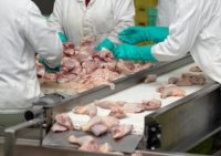 Holandia praca dla par przy pakowaniu mięsa bez języka od zaraz Haga 2019