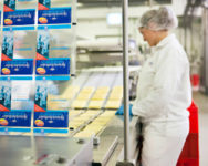 Bez języka ogłoszenie pracy w Szwecji dla par przy pakowaniu sera od zaraz Sztokholm