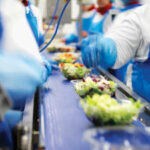 Produkcja żywności kontrola jakości Holandia praca od zaraz, Tilburg 2020