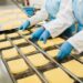 pakowanie sera praca zagranica 2023