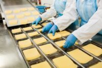 Bez znajomości języka Anglia praca dla par pakowanie sera od zaraz w Luton UK
